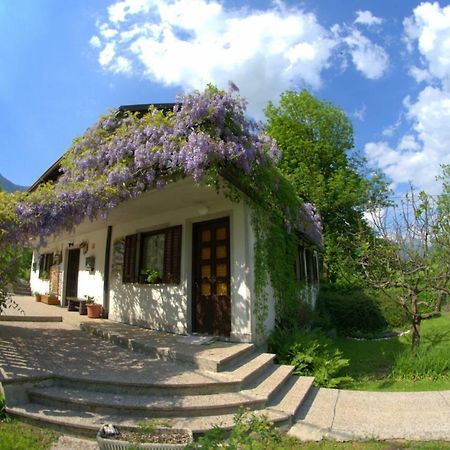 Apartma Bel Zaga 外观 照片