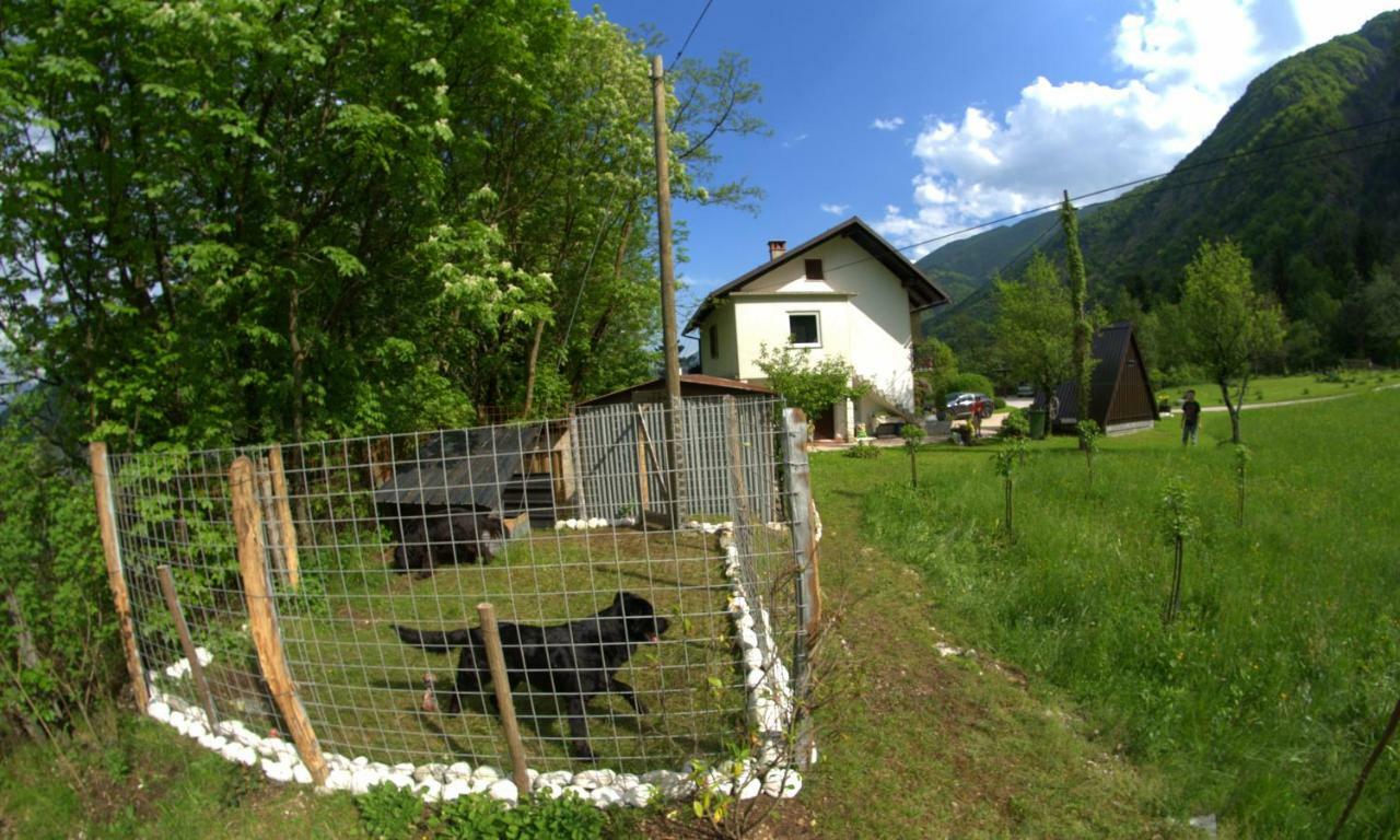 Apartma Bel Zaga 外观 照片