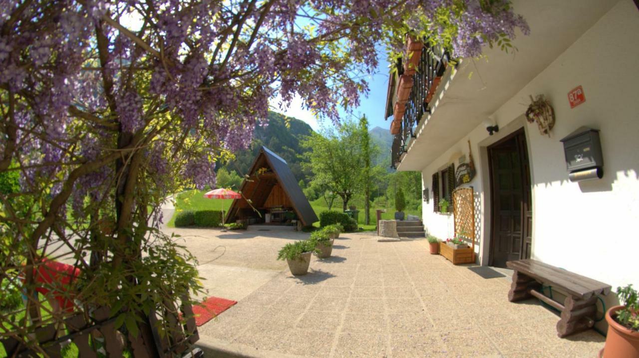 Apartma Bel Zaga 外观 照片